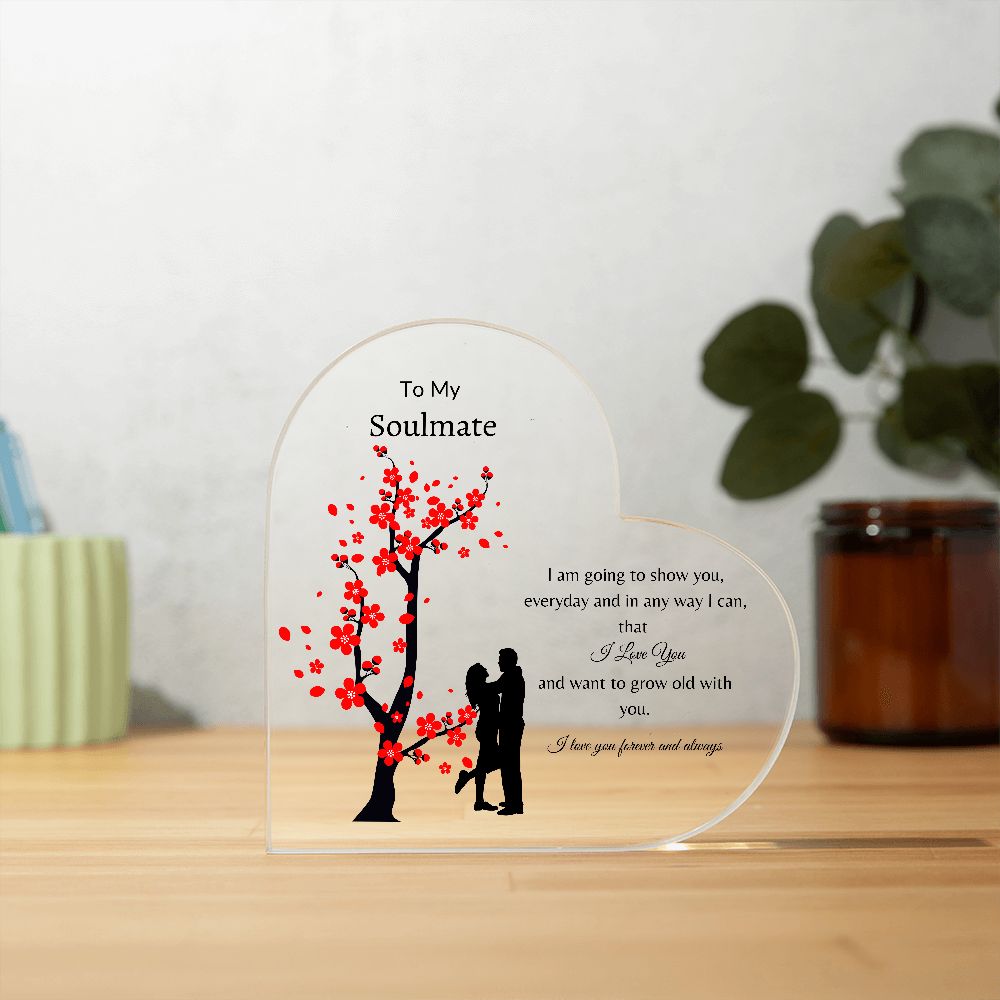 To My Soulmate | Any Way I Can | Heart Plaque