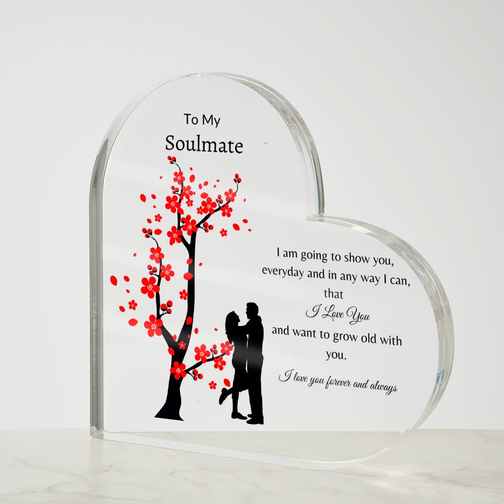 To My Soulmate | Any Way I Can | Heart Plaque