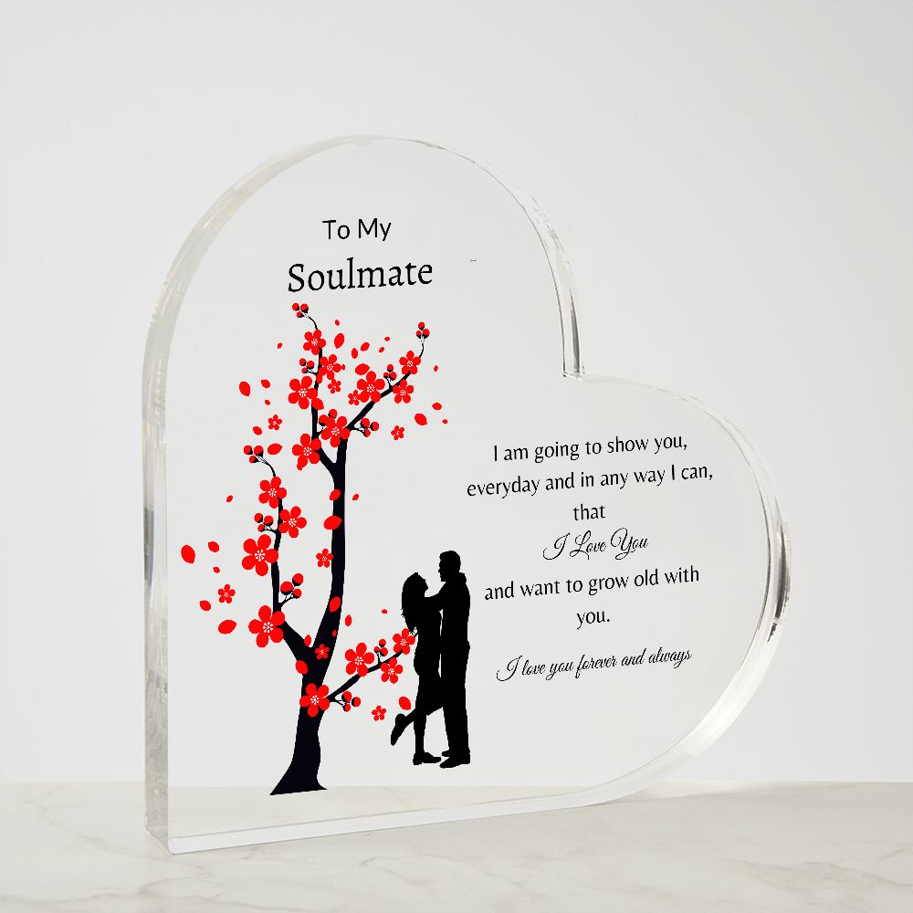 To My Soulmate | Any Way I Can | Heart Plaque