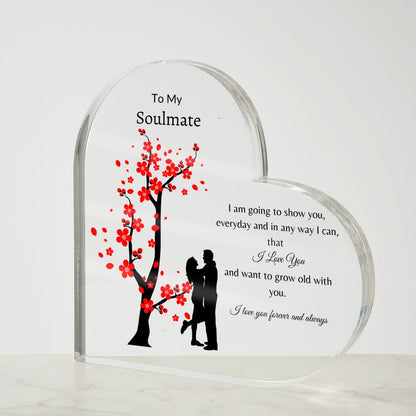 To My Soulmate | Any Way I Can | Heart Plaque